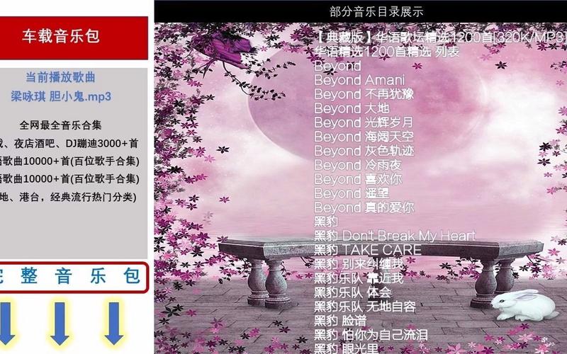 快音车载音乐（快音车载音乐：超嗨驾车必备歌单）