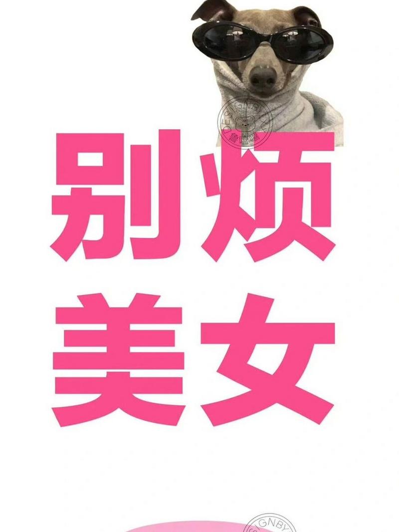 攻略奇怪的世界（攻略奇世秘境，揭秘奇幻之旅）