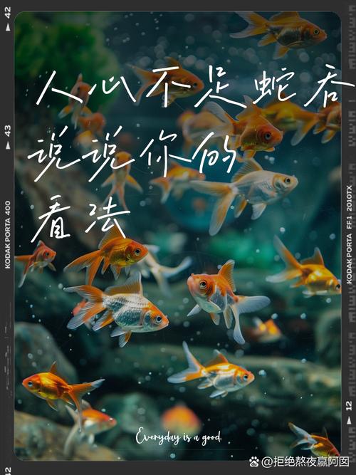 什么不足蛇吞象（蛇吞象不足揭秘：揭秘真实原因！）